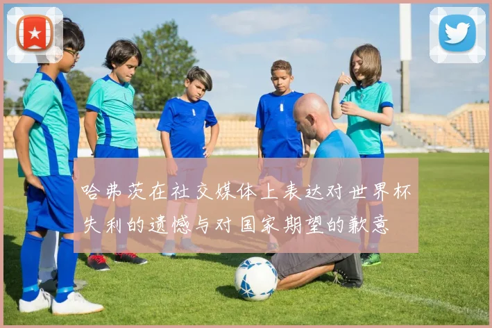 哈弗茨在社交媒体上表达对世界杯失利的遗憾与对国家期望的歉意