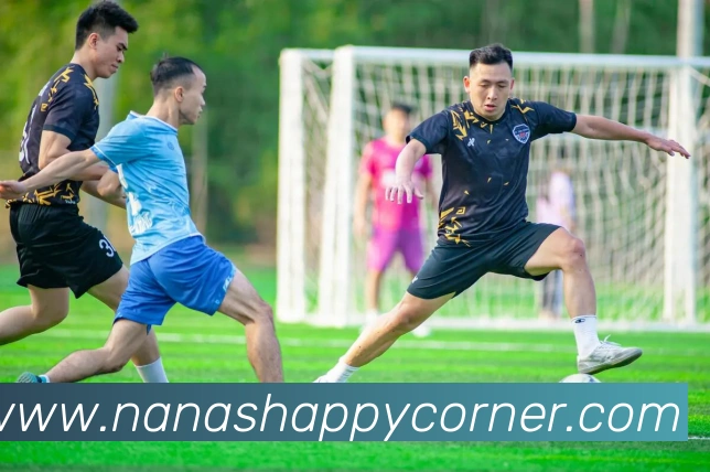 对战数据统计